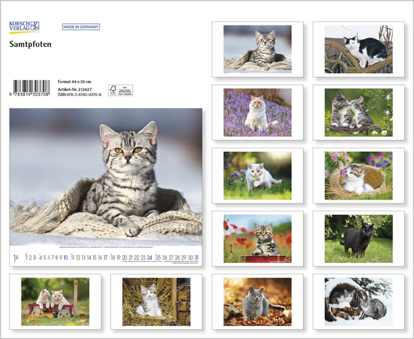 Weitere Ansicht: Samtpfoten 2027