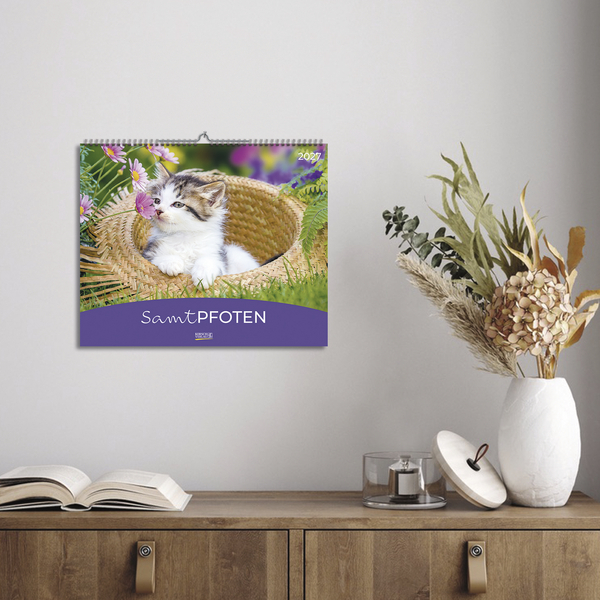 Weitere Ansicht: Samtpfoten 2027