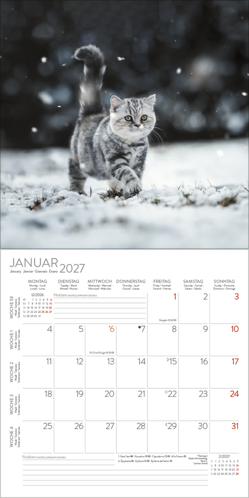 Weitere Ansicht: Cats 2027