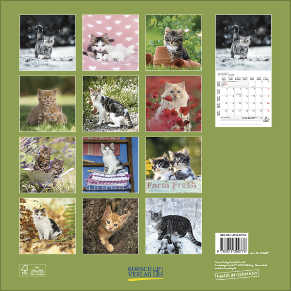 Weitere Ansicht: Cats 2027