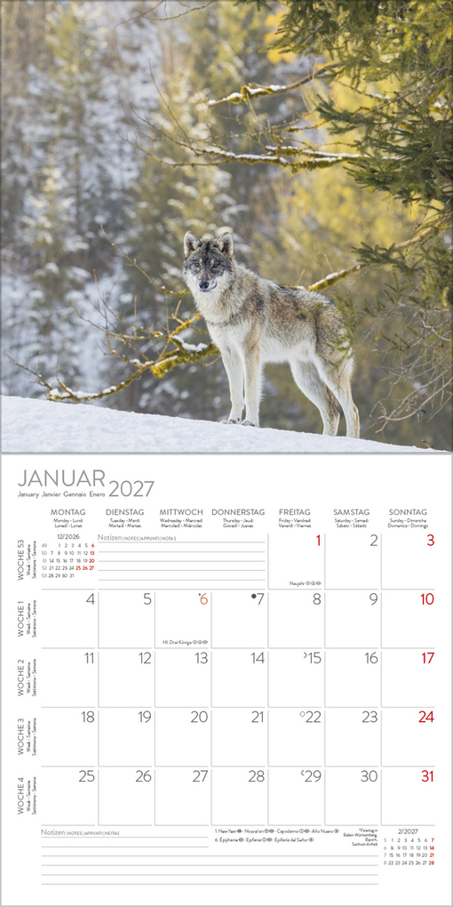Weitere Ansicht: Wölfe 2027
