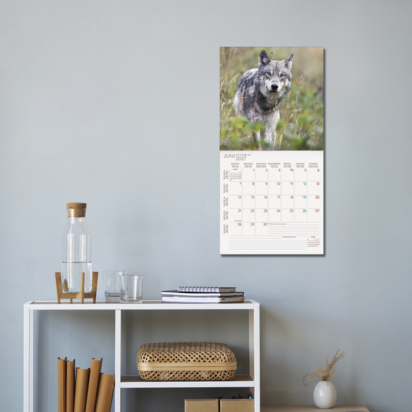 Weitere Ansicht: Wölfe 2027