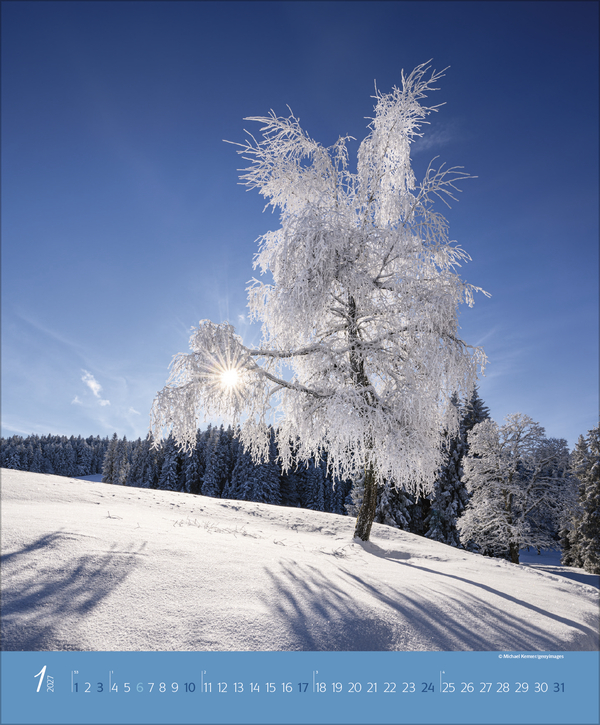 Weitere Ansicht: Augenblicke im Wald 2027