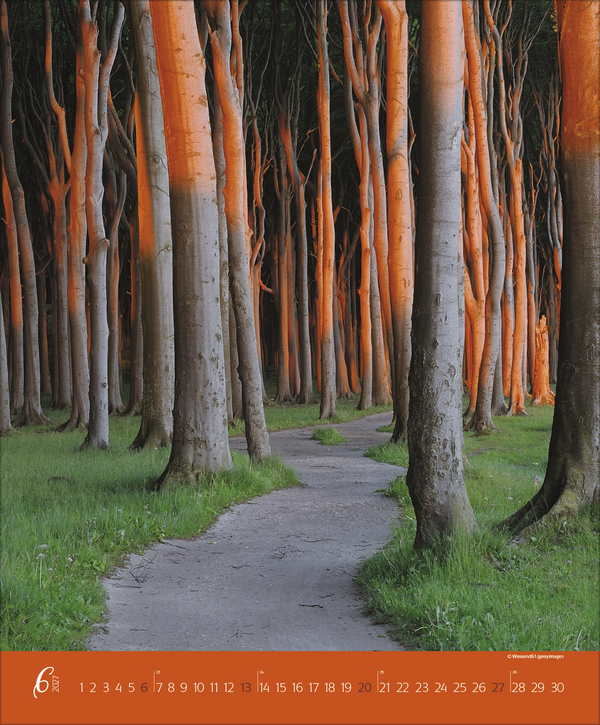 Weitere Ansicht: Augenblicke im Wald 2027