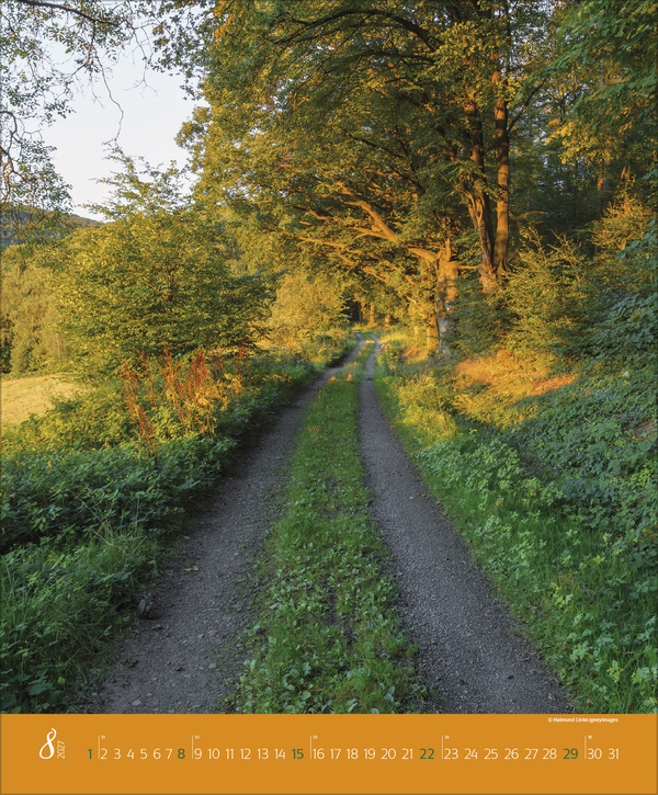 Weitere Ansicht: Augenblicke im Wald 2027