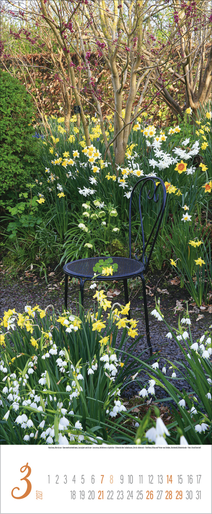 Weitere Ansicht: Gärten 2027