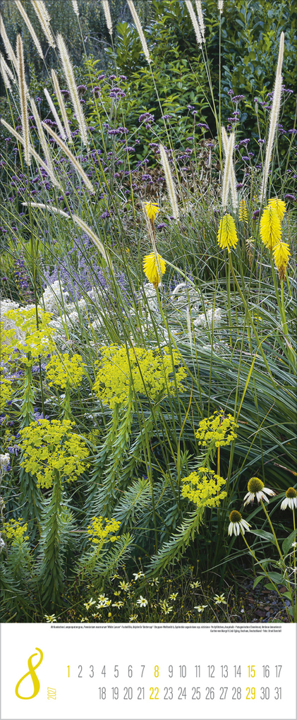 Weitere Ansicht: Gärten 2027