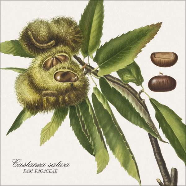 Weitere Ansicht: Botanicum 2027