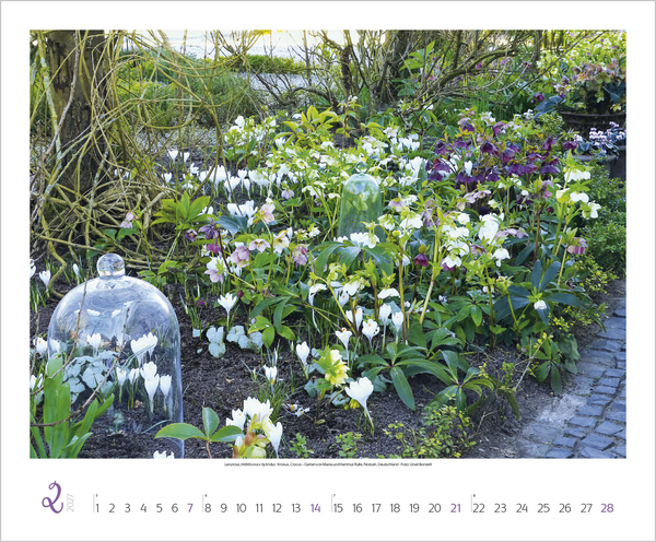 Weitere Ansicht: Gartenträume 2027