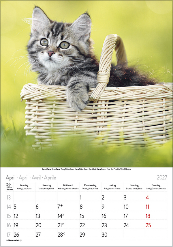 Weitere Ansicht: Katzen 2027