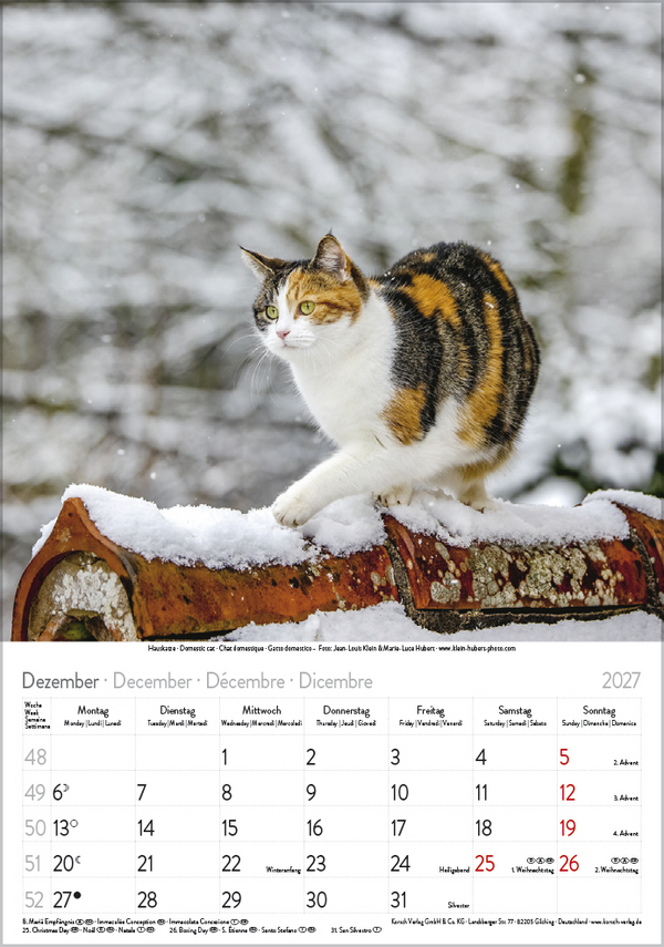 Weitere Ansicht: Katzen 2027