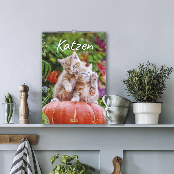 Weitere Ansicht: Katzen 2027