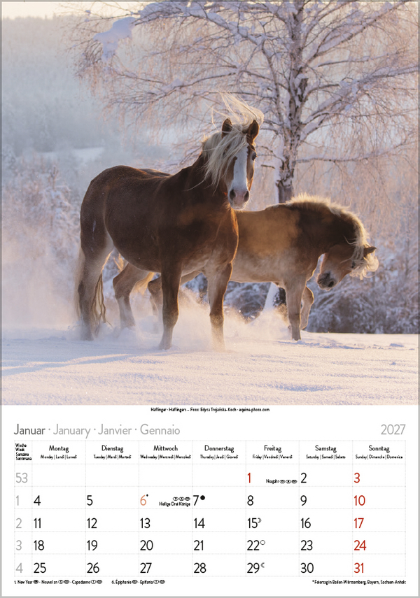 Weitere Ansicht: Pferde 2027