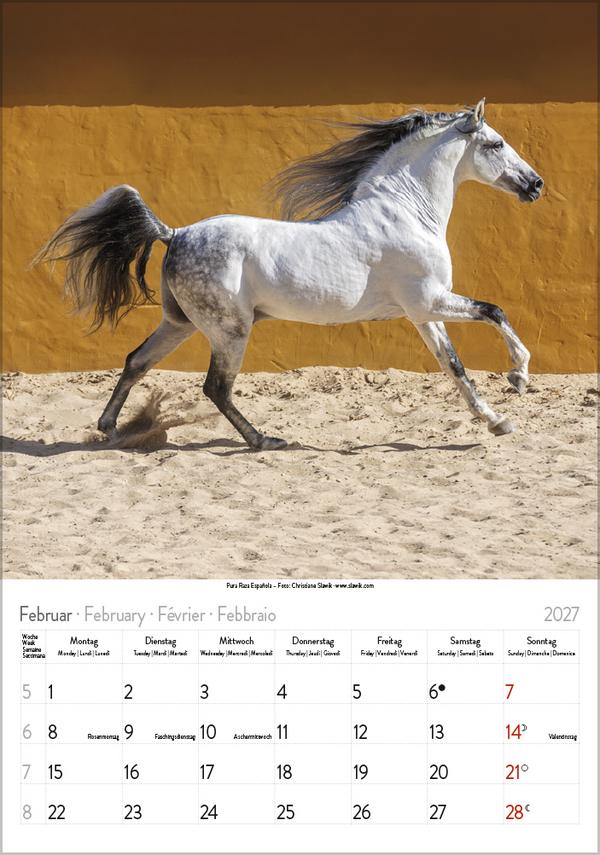 Weitere Ansicht: Pferde 2027
