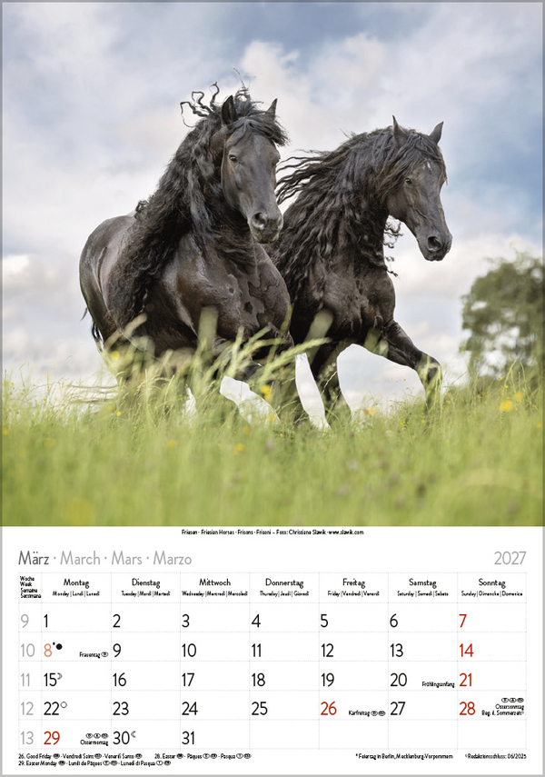 Weitere Ansicht: Pferde 2027