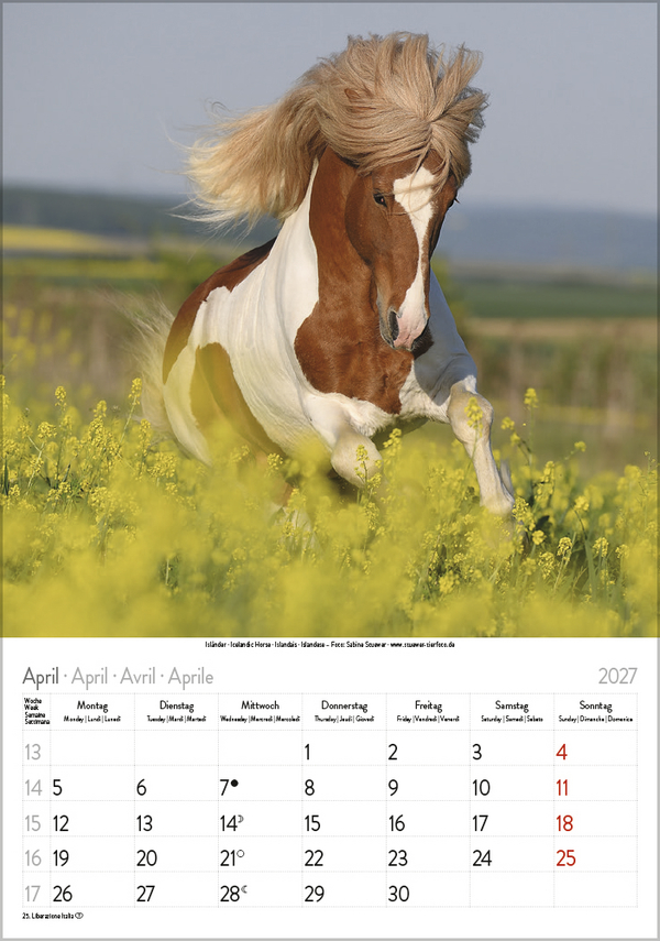 Weitere Ansicht: Pferde 2027