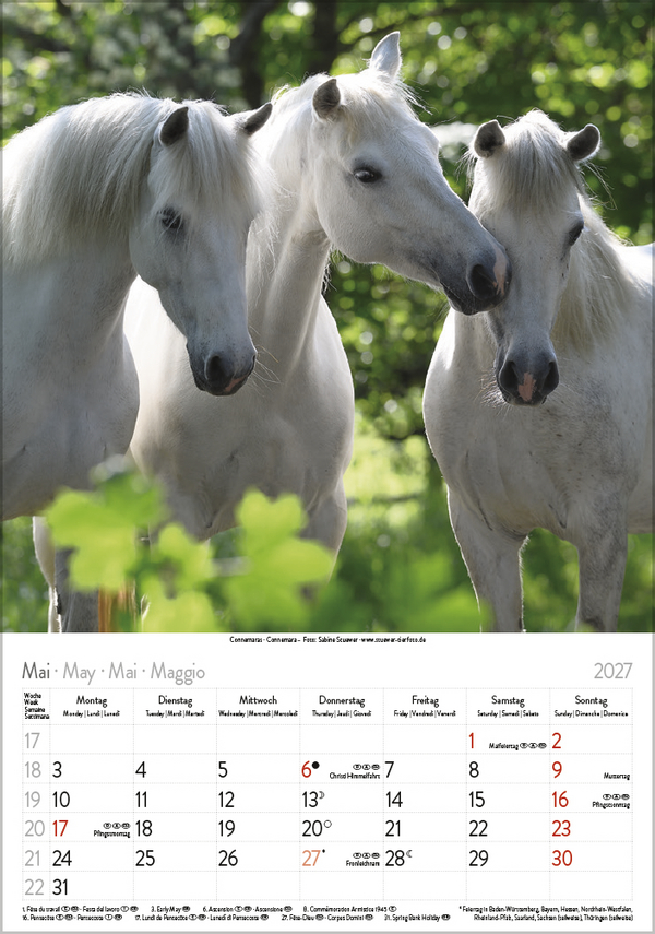 Weitere Ansicht: Pferde 2027