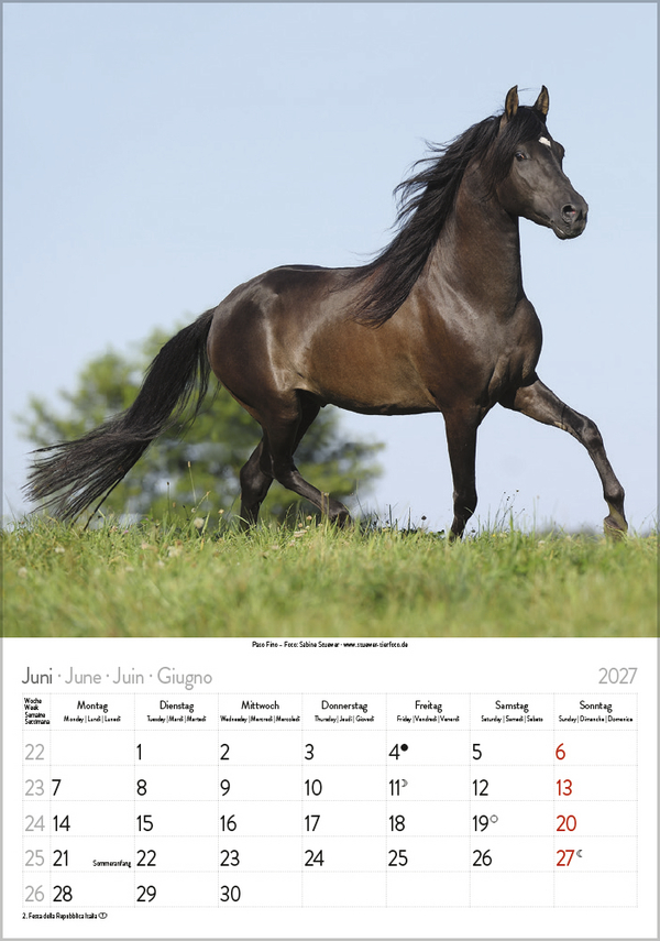 Weitere Ansicht: Pferde 2027