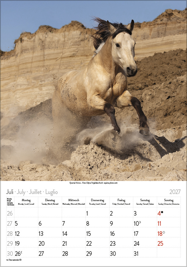 Weitere Ansicht: Pferde 2027