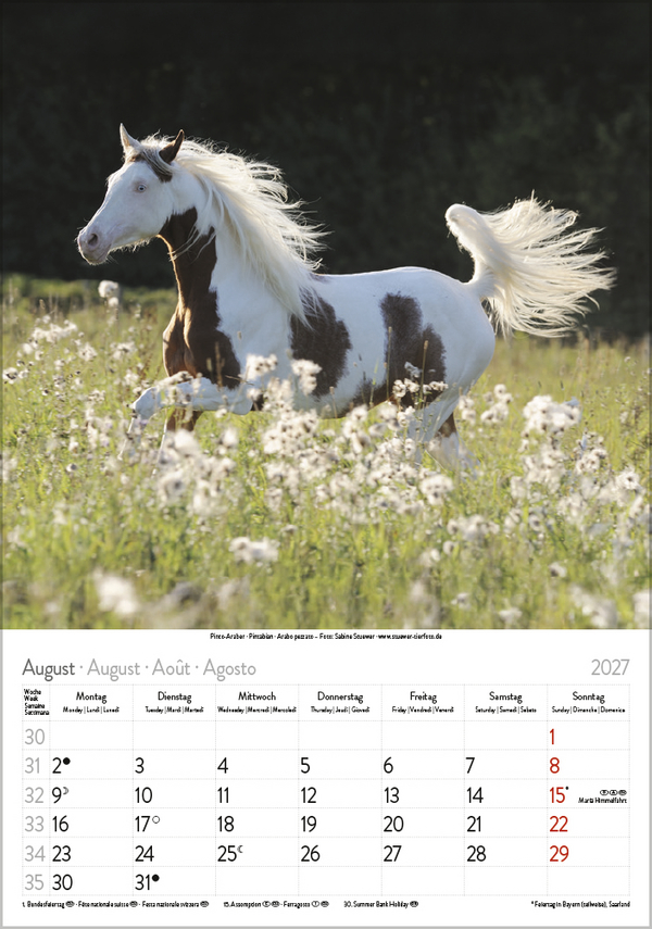 Weitere Ansicht: Pferde 2027