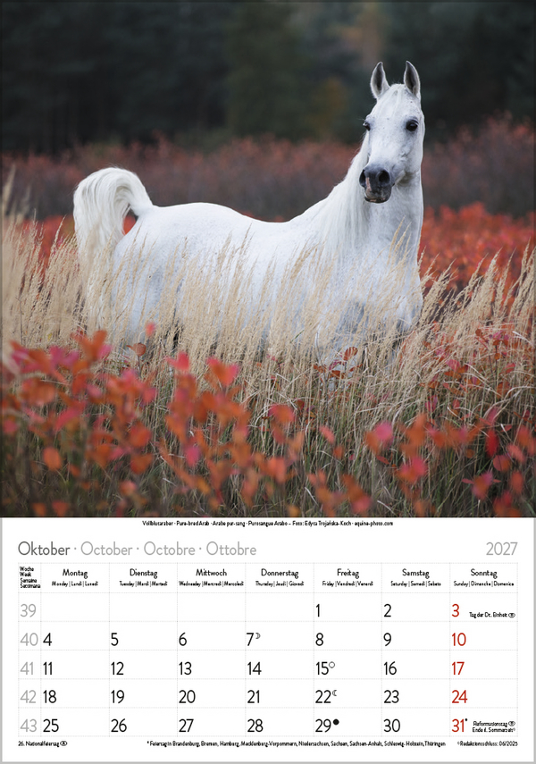 Weitere Ansicht: Pferde 2027