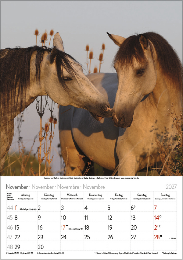 Weitere Ansicht: Pferde 2027