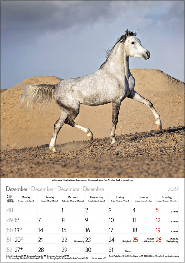 Weitere Ansicht: Pferde 2027