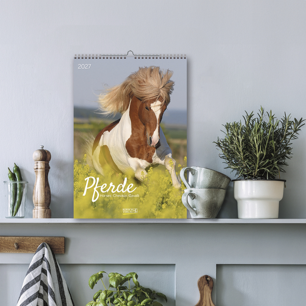 Weitere Ansicht: Pferde 2027