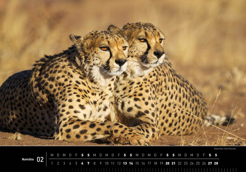 Weitere Ansicht: Namibia Premiumkalender 2027