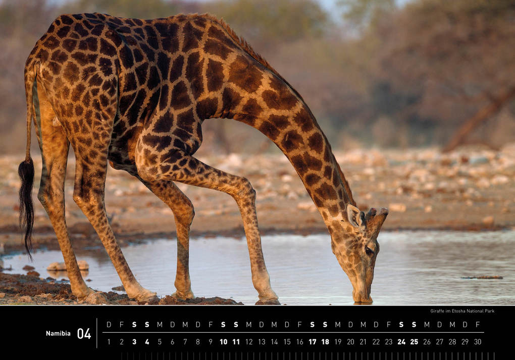 Weitere Ansicht: Namibia Premiumkalender 2027