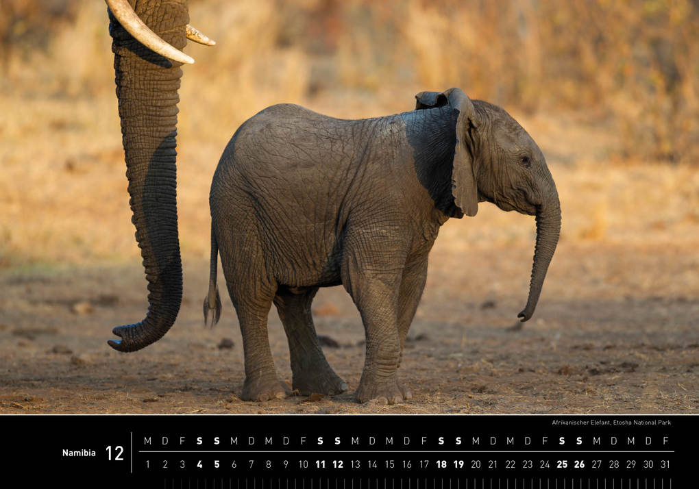 Weitere Ansicht: Namibia Premiumkalender 2027