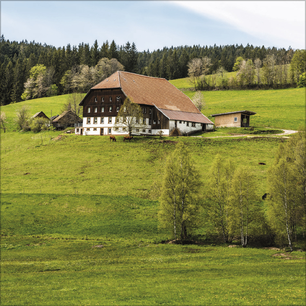 Weitere Ansicht: Schwarzwald 2027