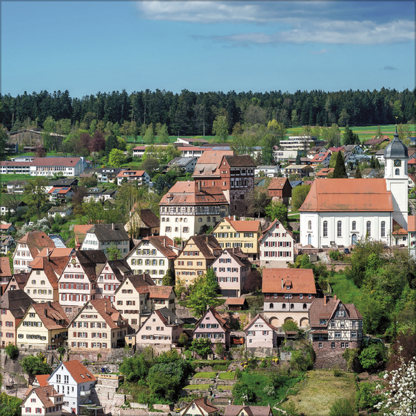 Weitere Ansicht: Schwarzwald 2027