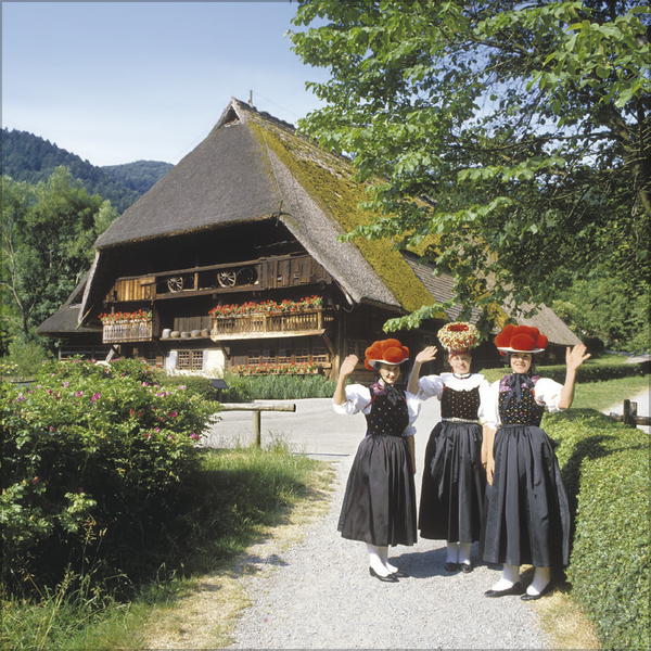 Weitere Ansicht: Schwarzwald 2027