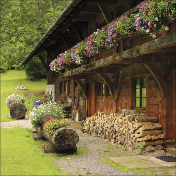 Weitere Ansicht: Schwarzwald 2027