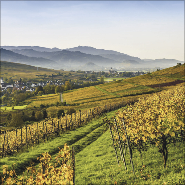 Weitere Ansicht: Schwarzwald 2027