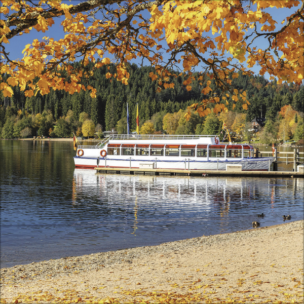 Weitere Ansicht: Schwarzwald 2027