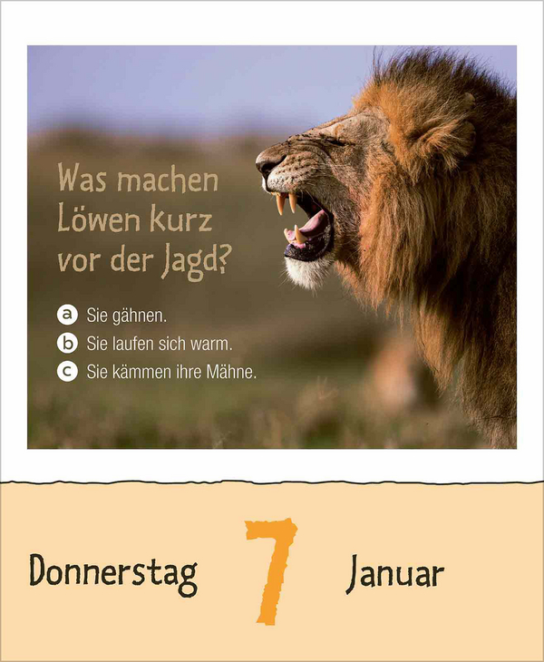 Weitere Ansicht: Wie faul ist das Faultier? 2027