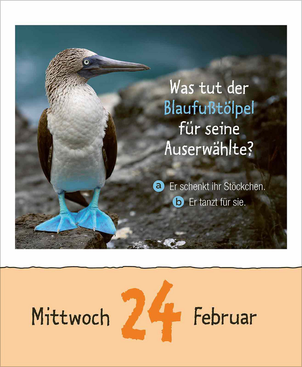 Weitere Ansicht: Wie faul ist das Faultier? 2027