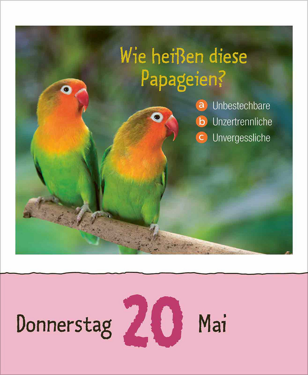 Weitere Ansicht: Wie faul ist das Faultier? 2027