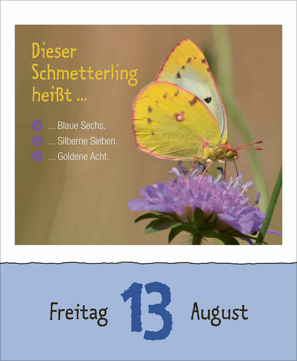 Weitere Ansicht: Wie faul ist das Faultier? 2027