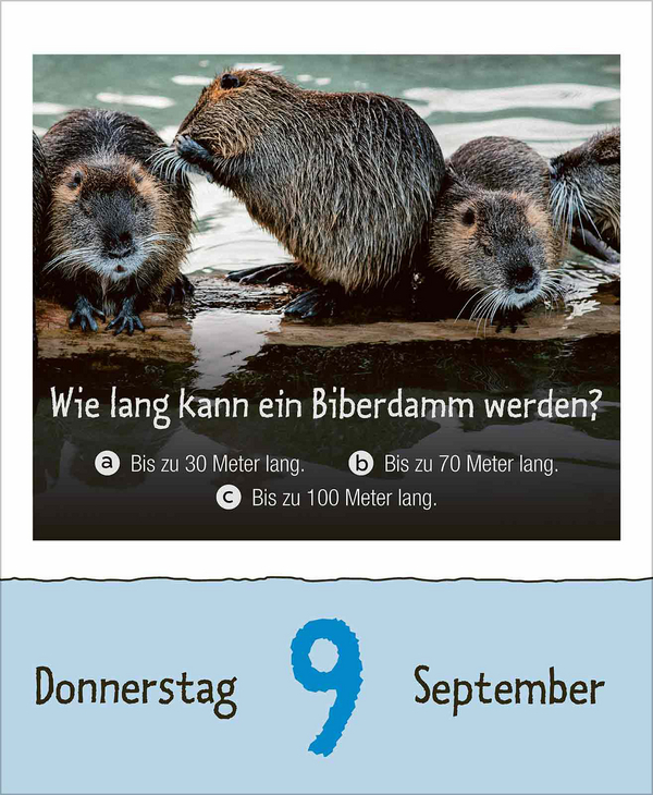 Weitere Ansicht: Wie faul ist das Faultier? 2027