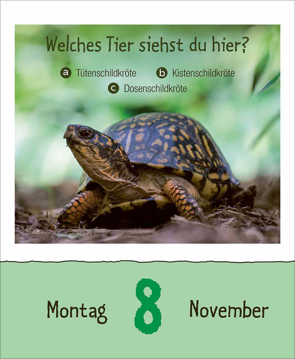 Weitere Ansicht: Wie faul ist das Faultier? 2027