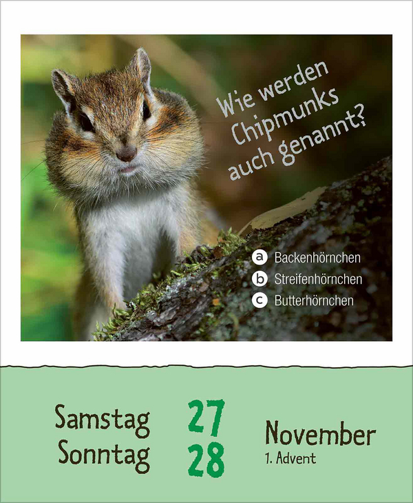 Weitere Ansicht: Wie faul ist das Faultier? 2027