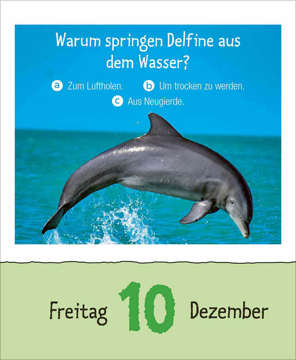 Weitere Ansicht: Wie faul ist das Faultier? 2027