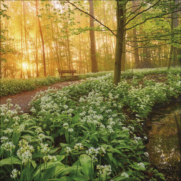 Weitere Ansicht: Augenblicke der Stille 2027