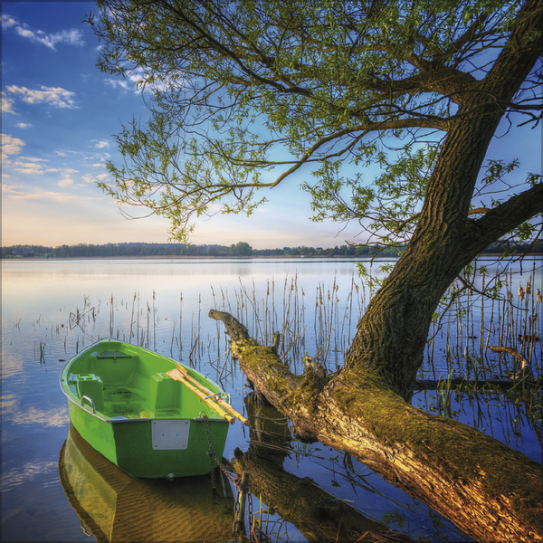 Weitere Ansicht: Augenblicke der Stille 2027