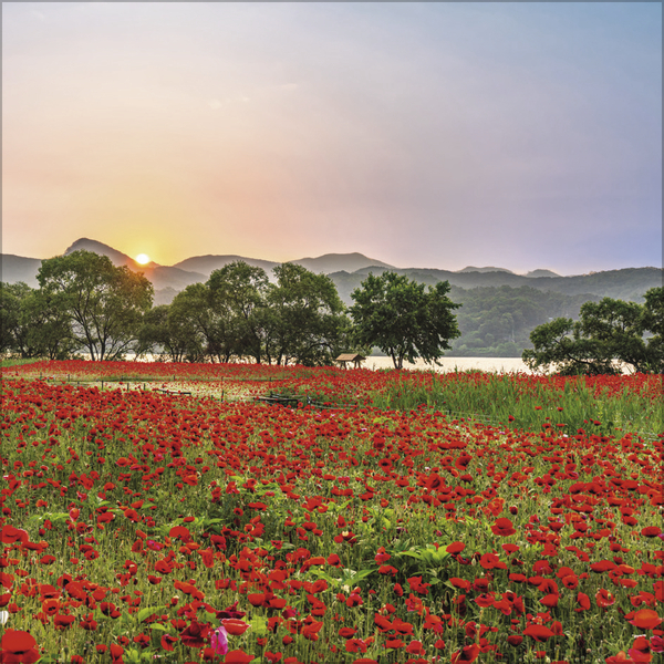 Weitere Ansicht: Augenblicke der Stille 2027