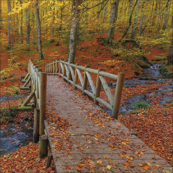 Weitere Ansicht: Augenblicke der Stille 2027