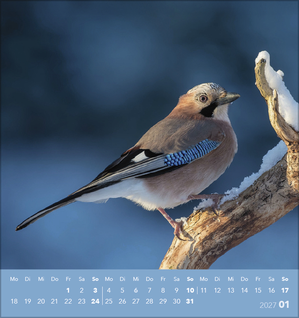 Weitere Ansicht: Vögel unserer Heimat 2027